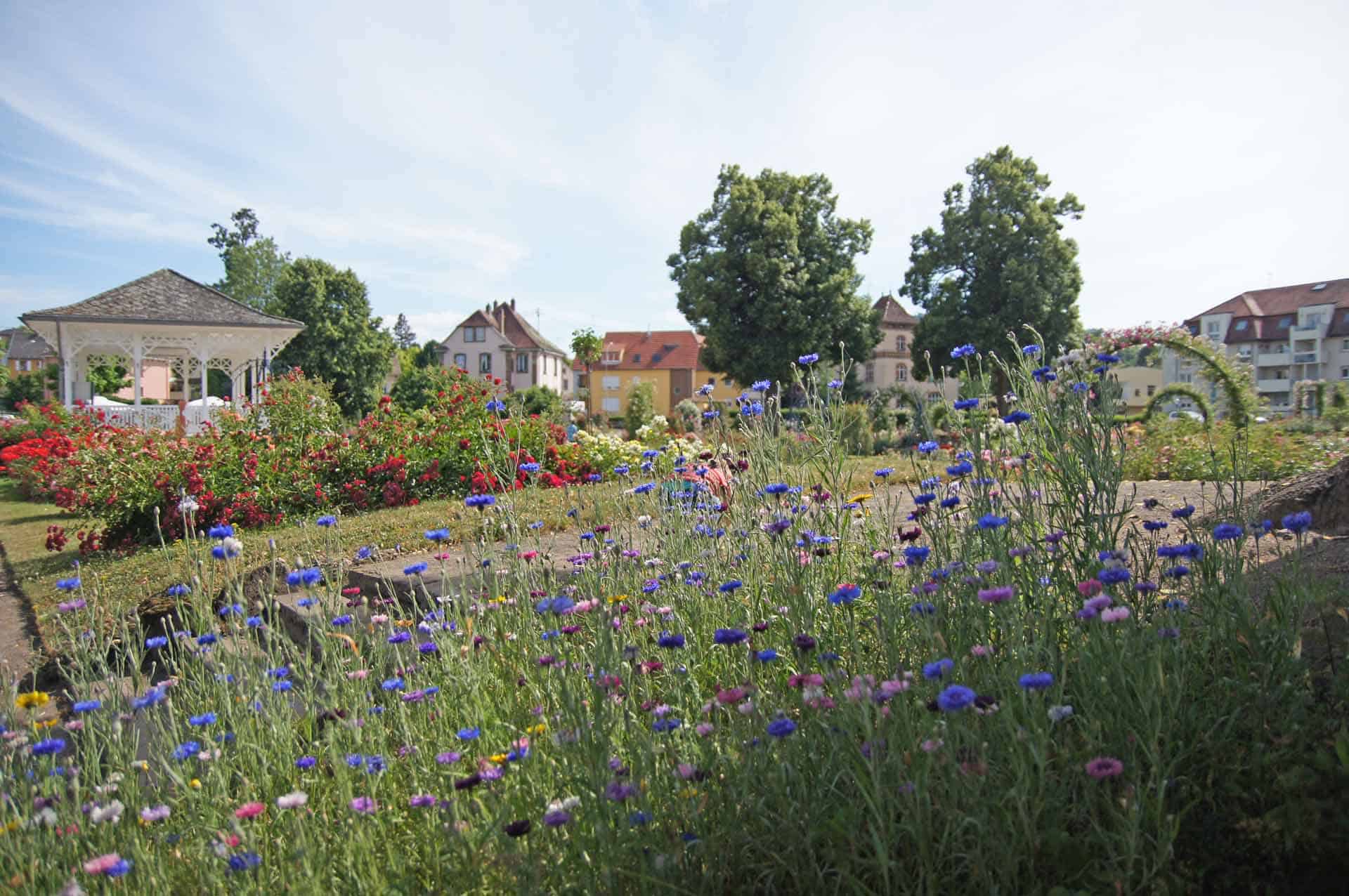 Saverne Botanische tuin