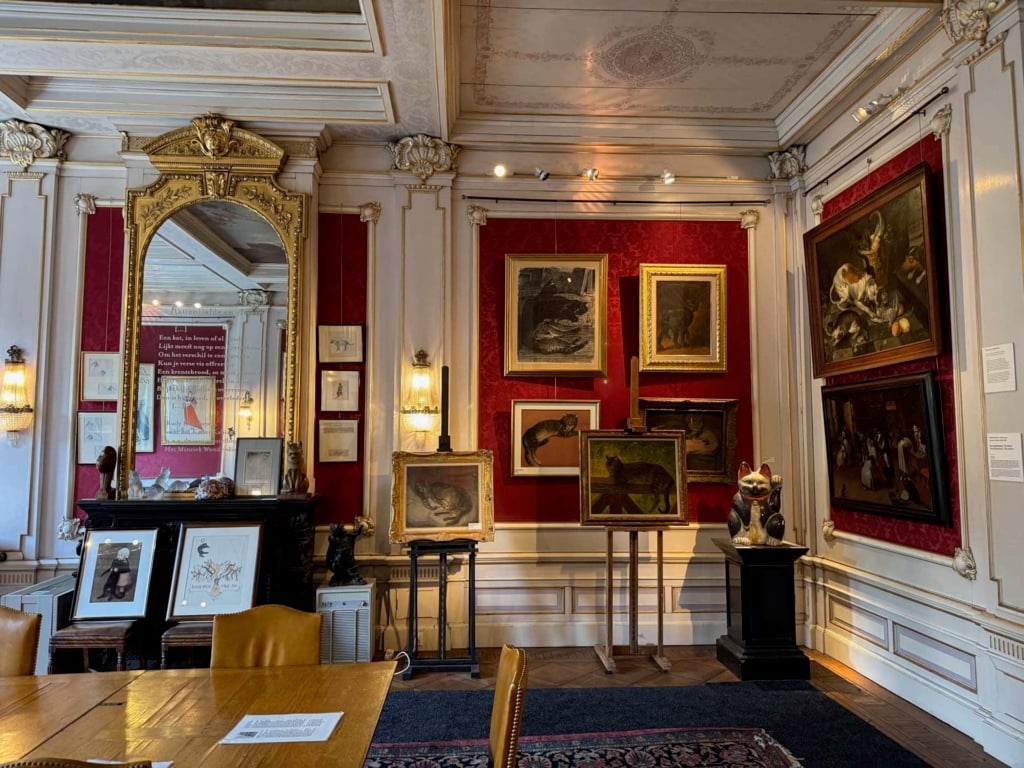 Amsterdam kattenkabinet