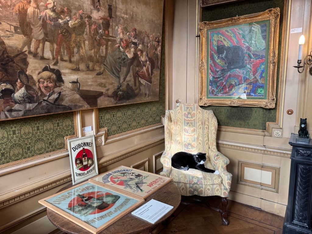 Amsterdam kattenkabinet