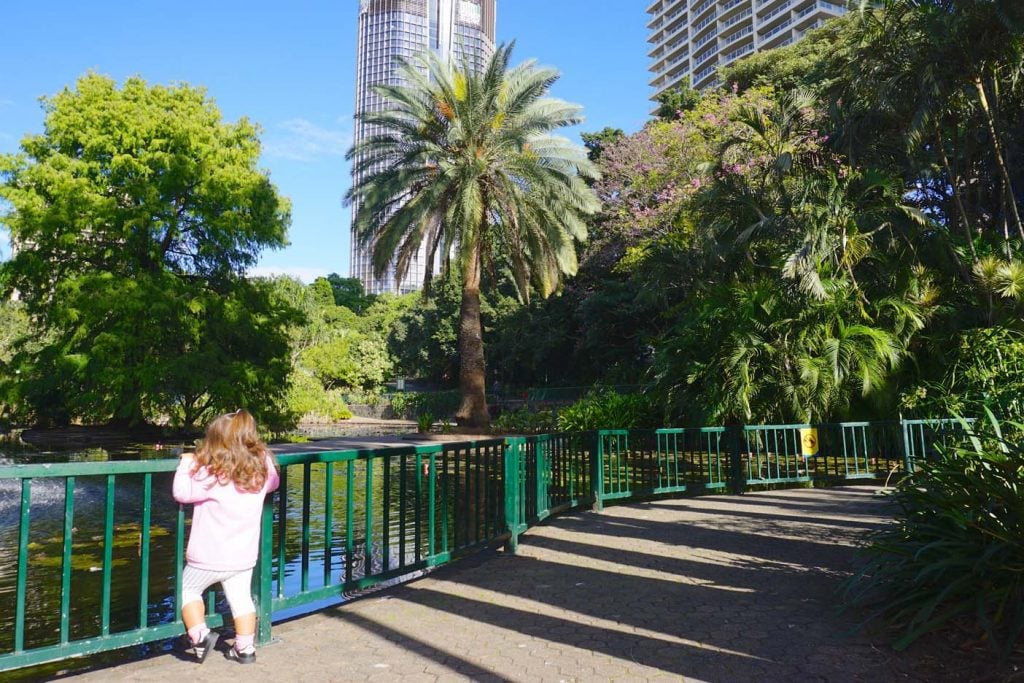 Botanische tuinen Brisbane