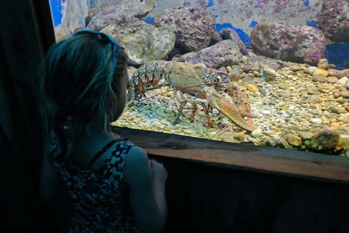 Corfu Aquarium 