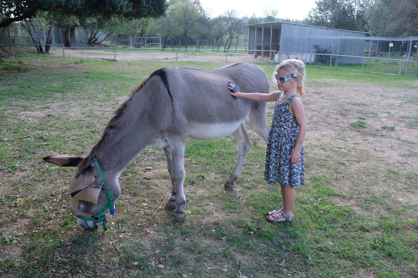 corfu met kinderen ezelopvang