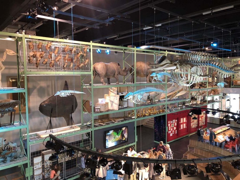 Naturalis interactief museum leiden