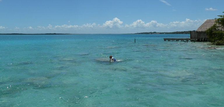 Bacalar