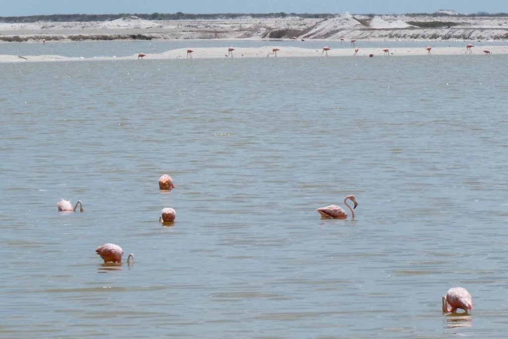 Las Coloradas