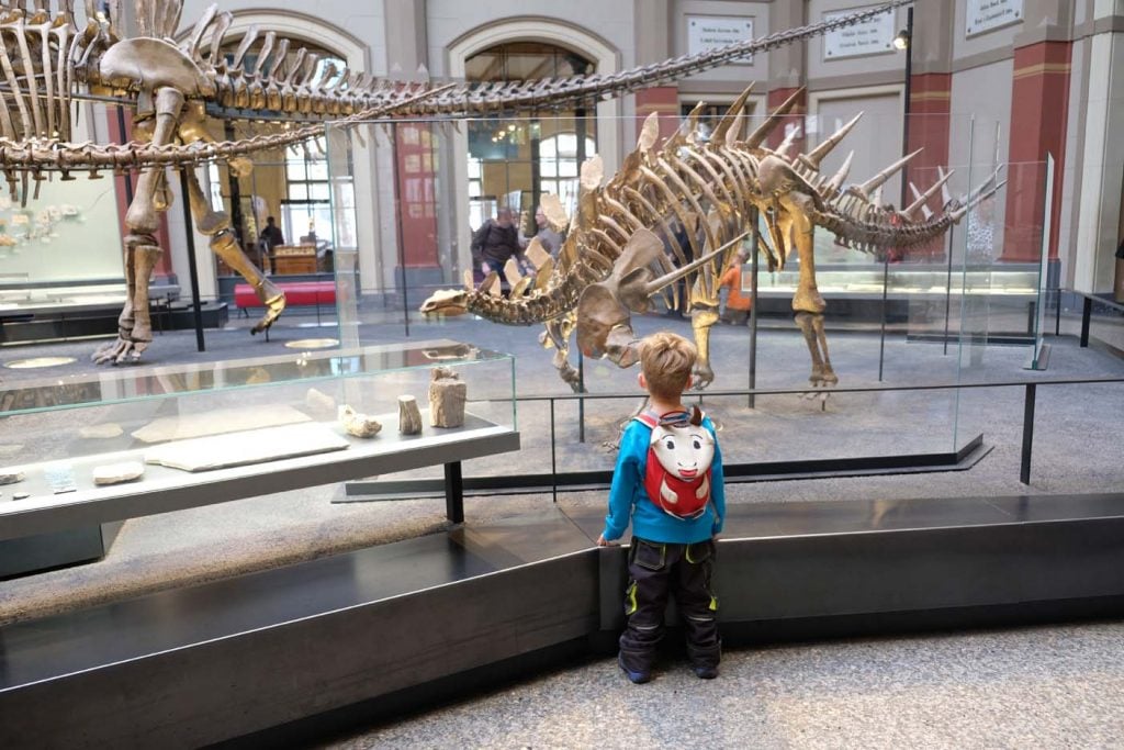 Natuurhistorisch museum Berlijn