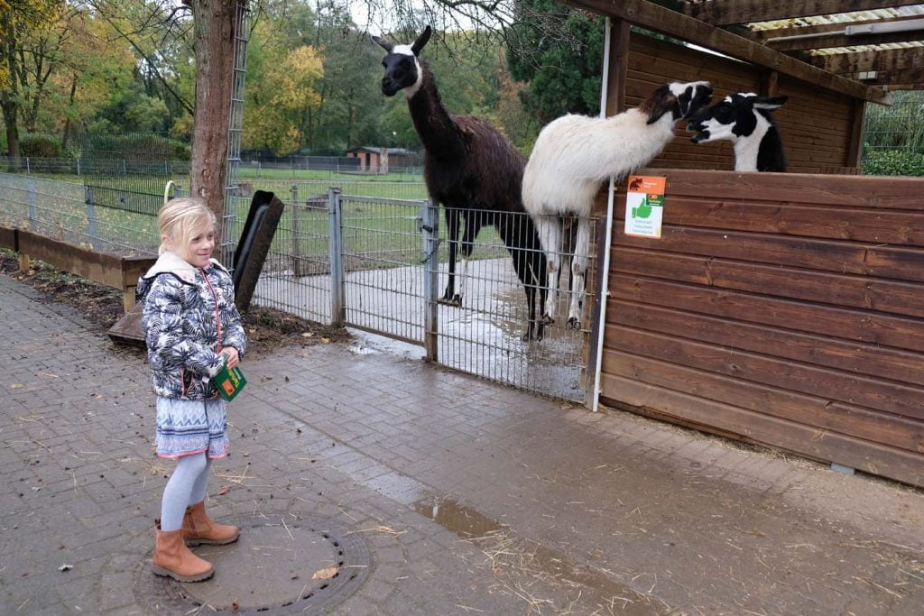 Dierentuin Kleve