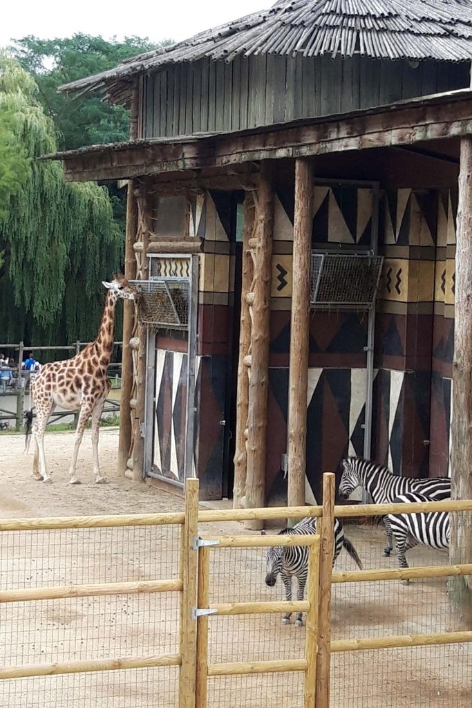 Bellewaerde dierentuin