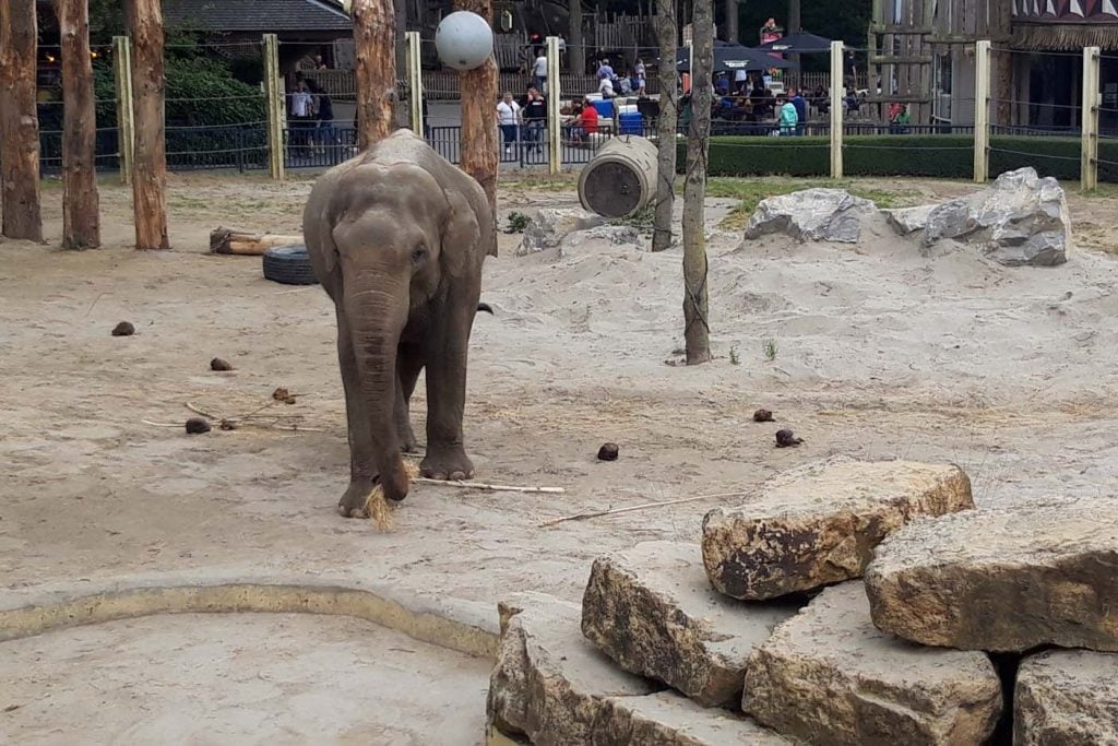 Bellewaerde dierentuin