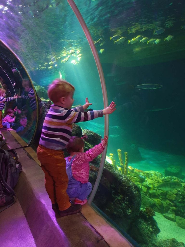 Sea Life Oberhausen tunnel