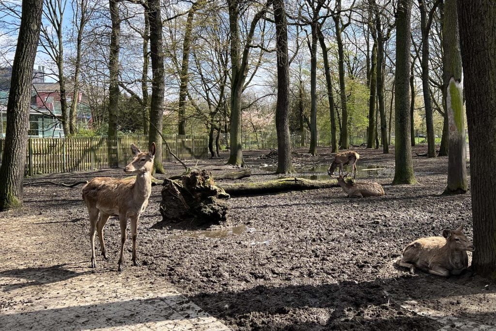 Oberhausen kaisergarten dieren