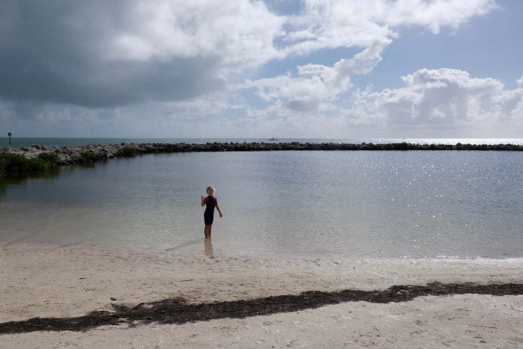 Harry Harris Beach and Park