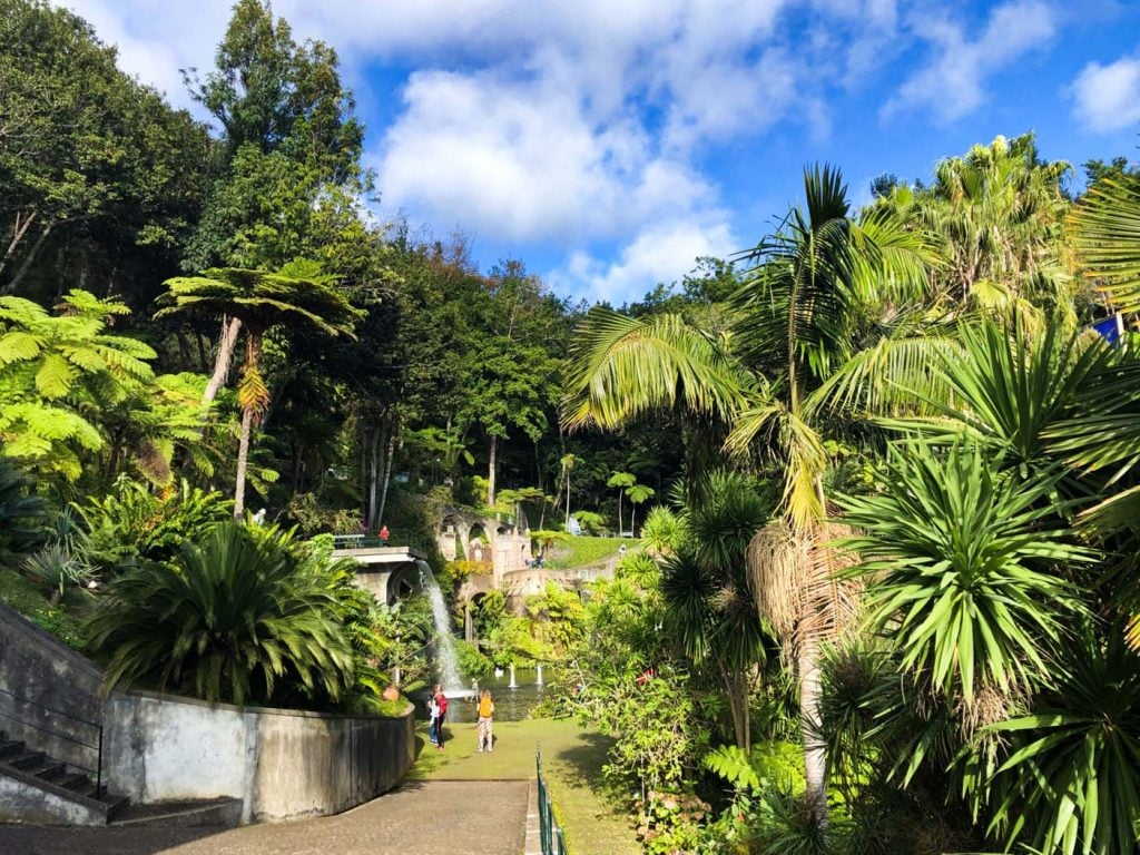 Madeira funchal botanische tuin