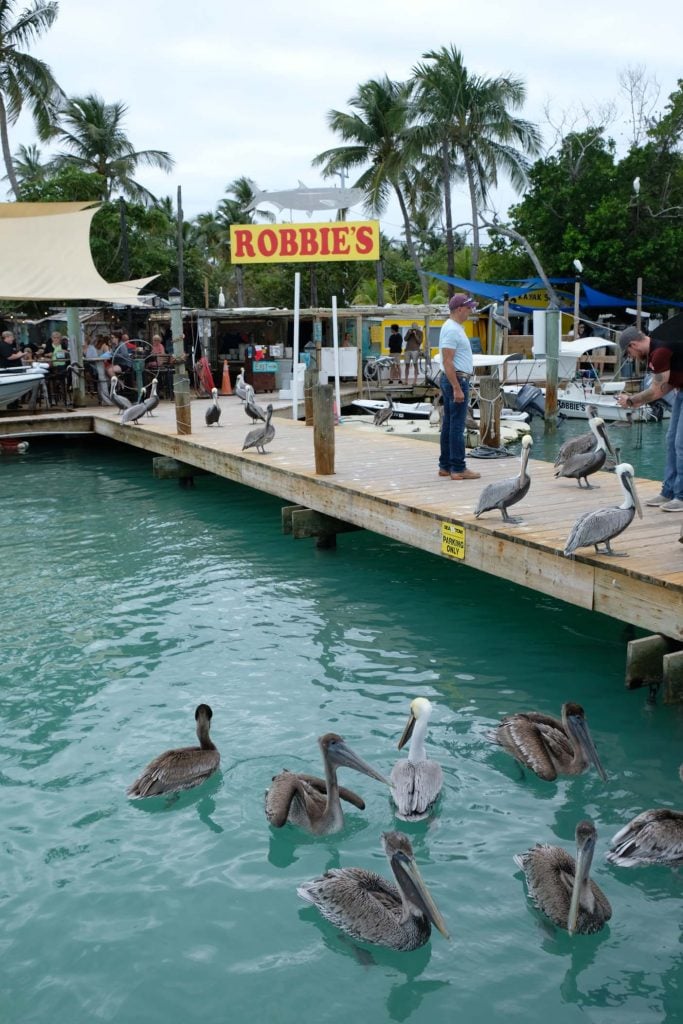 Robbies islamorada