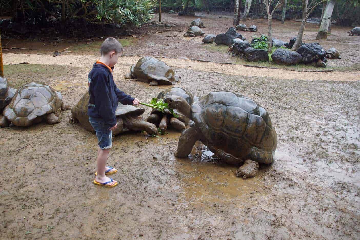 Mauritius met kinderen