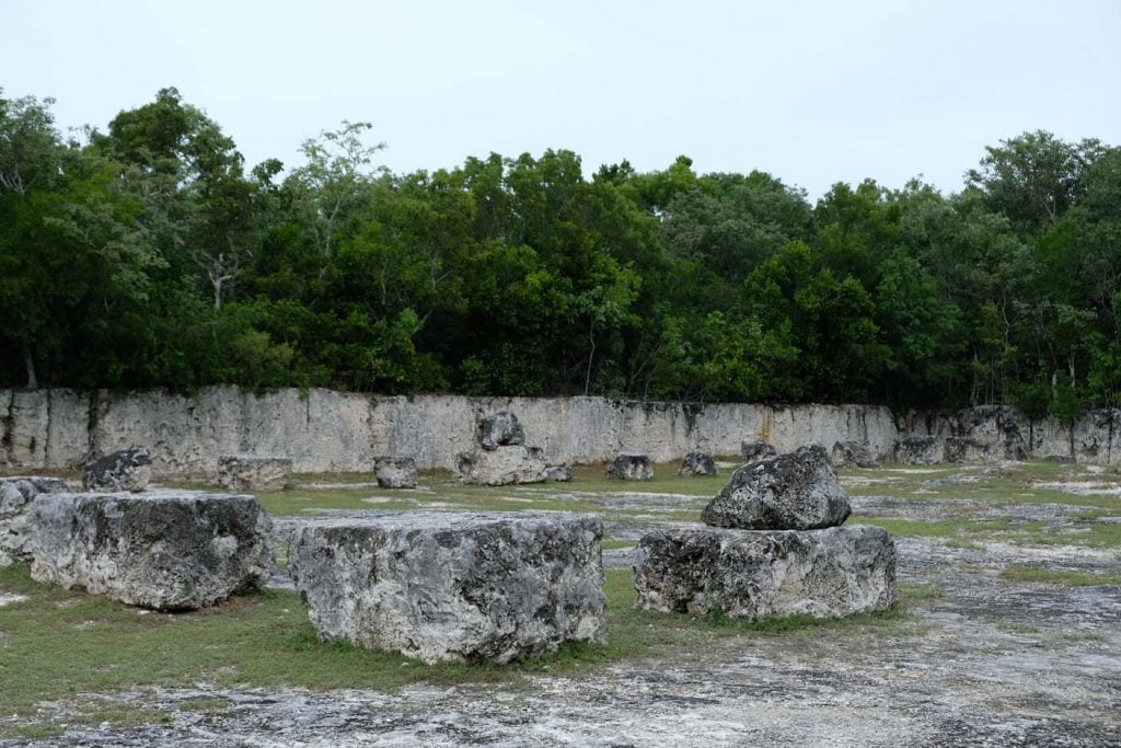 Windley Key Fossil Reef Geological State Park