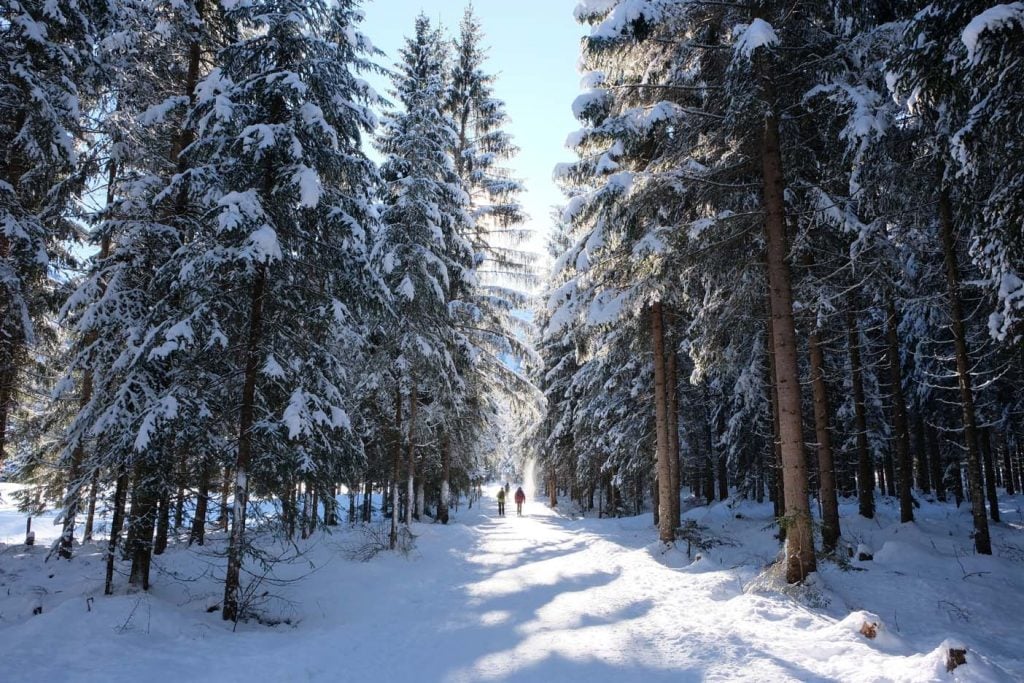 Winterwandeling Achensee