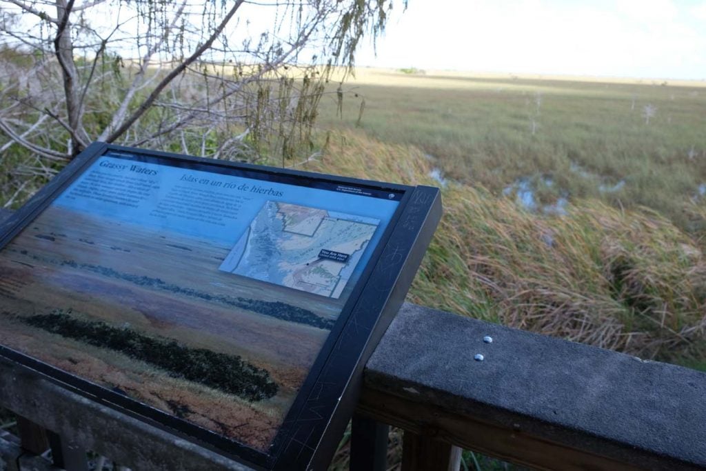 evergladees Pay-Hay-Okee overlook