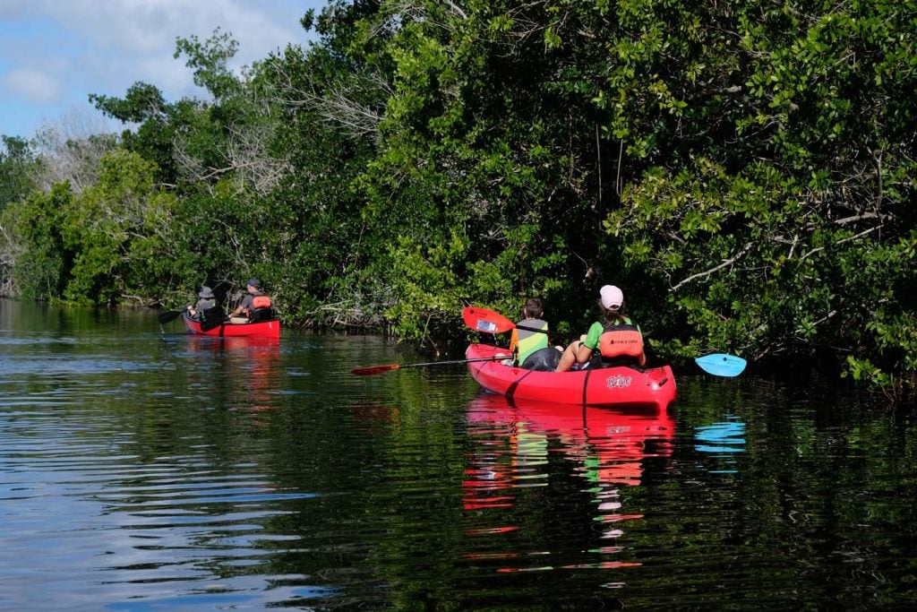 Everglades met kinderen kajakken