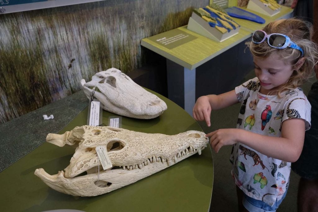 Shark Valley Visitor Center