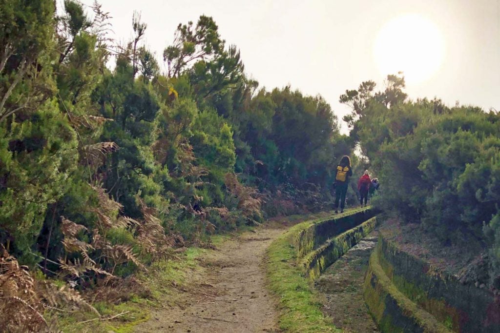 madeira levada wandeling