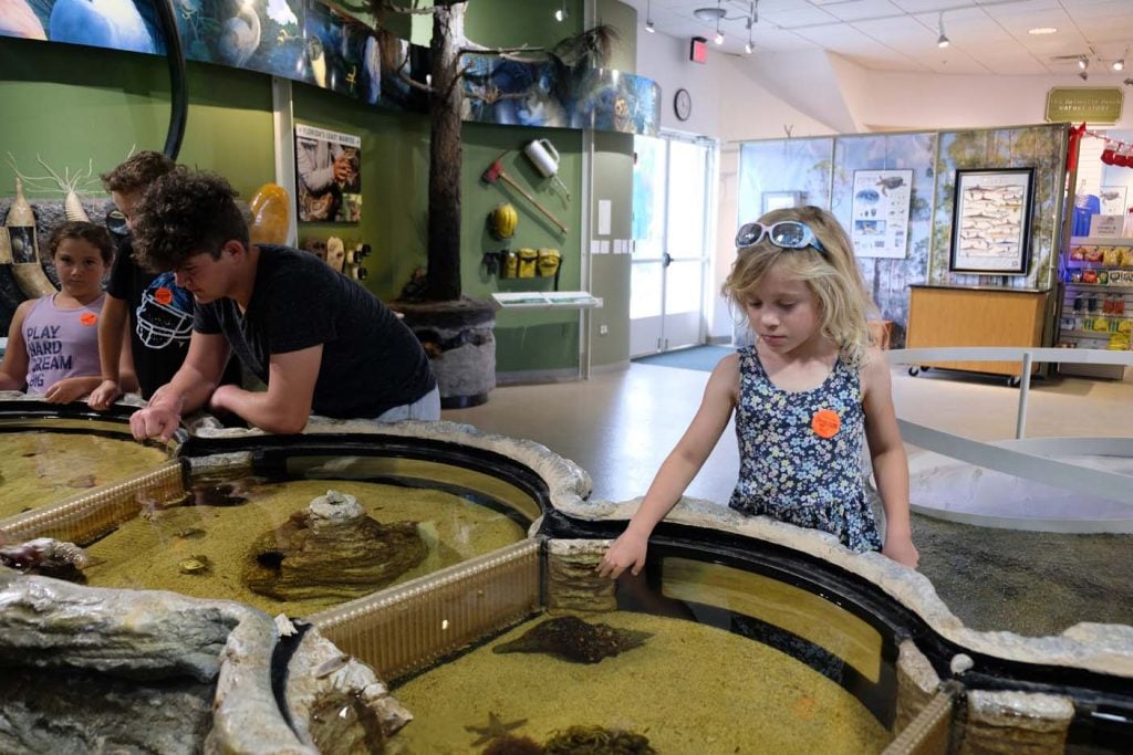 Rookery Bay Environmental Learning center