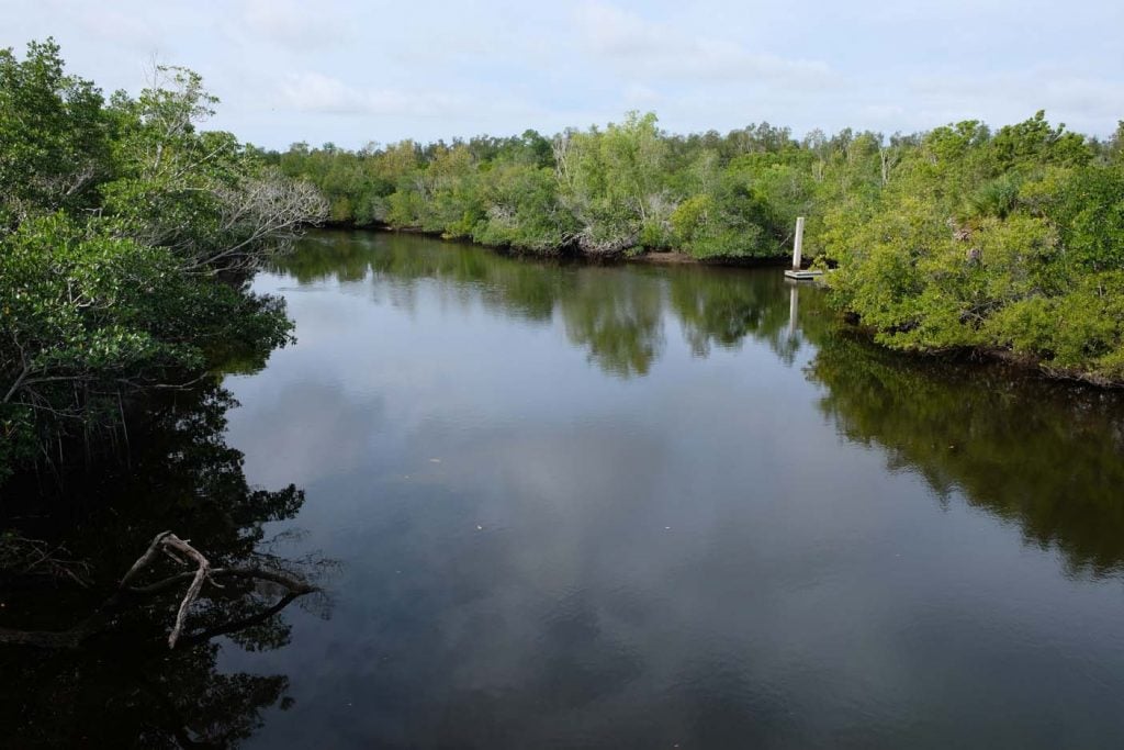 Rookery Bay Environmental Learning center