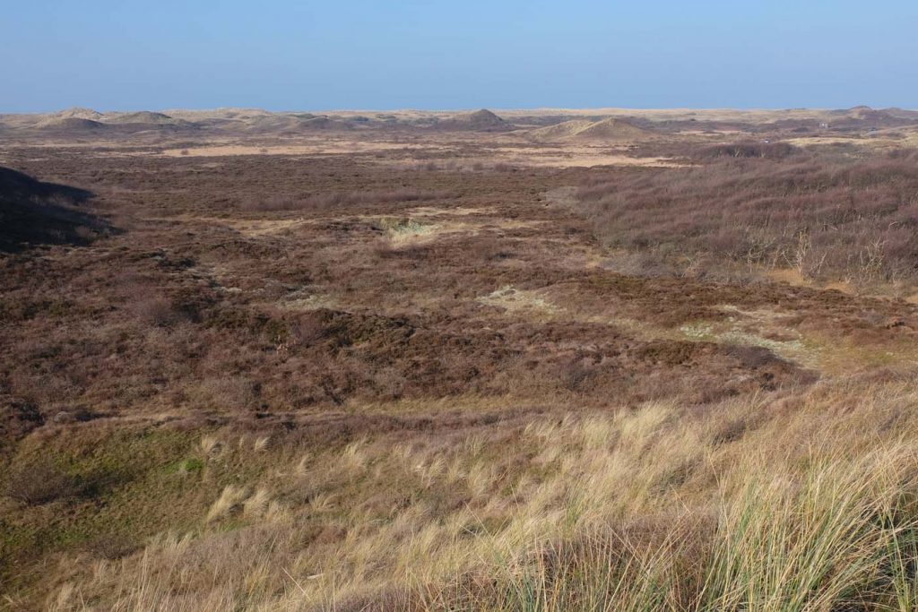 Texel natuur