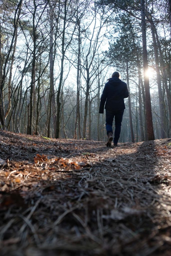 winterwandeling texel