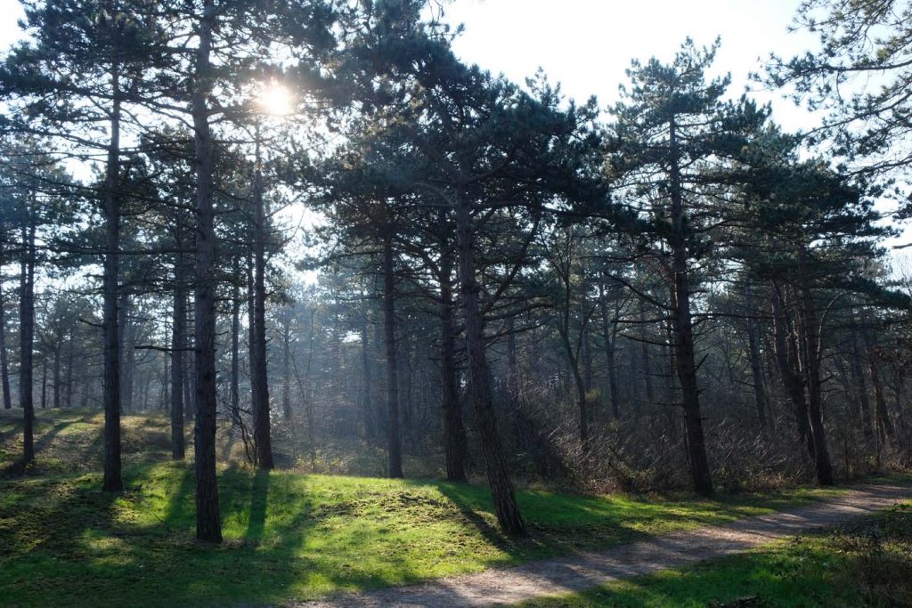 winterwandeling