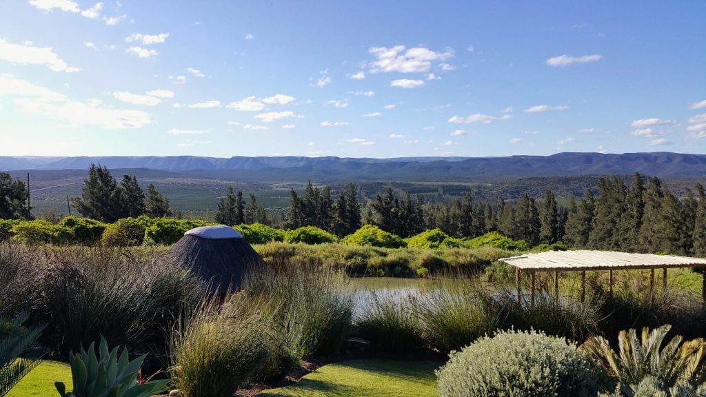 Addo Elephant Park 