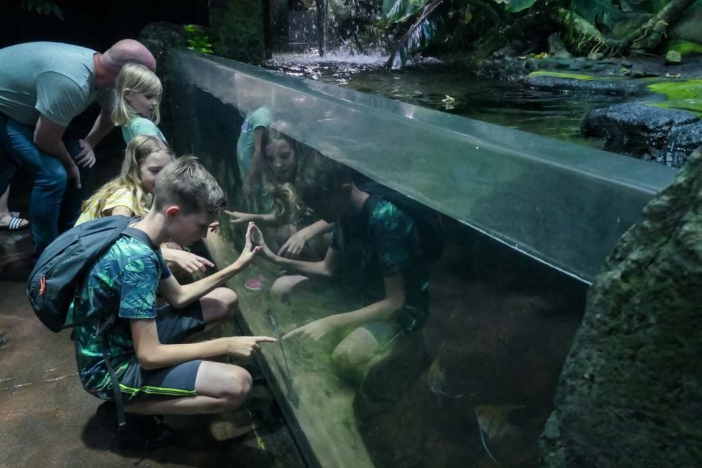 Groot gezin vakantie aquarium