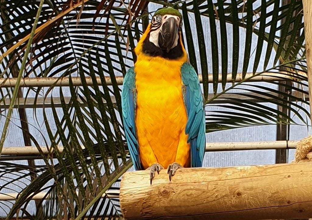 Berkenhof Tropical Zoo 