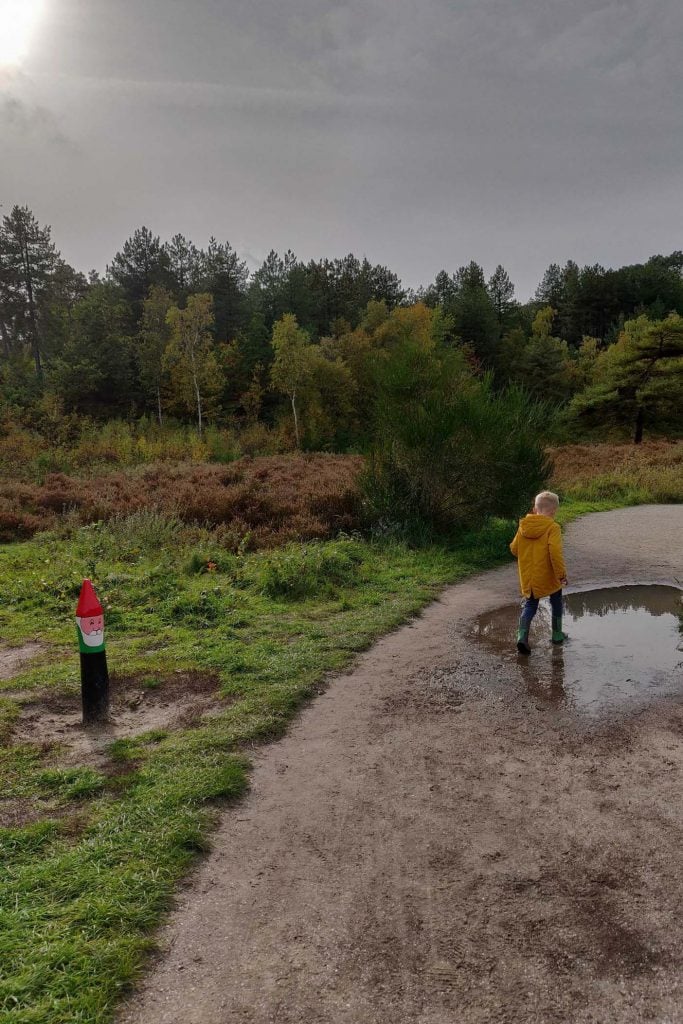 kabouterpad schoorlse duinen