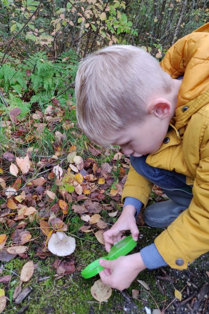 kabouterpad schoorlse duinen