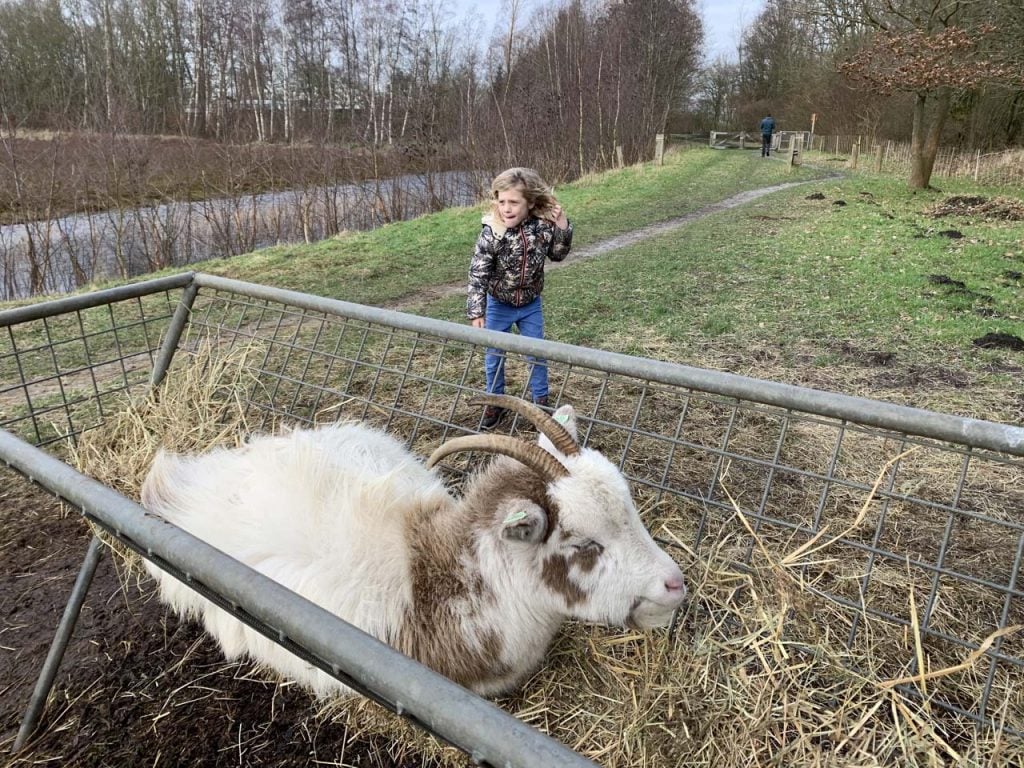 natuurpark Tussen de Venen