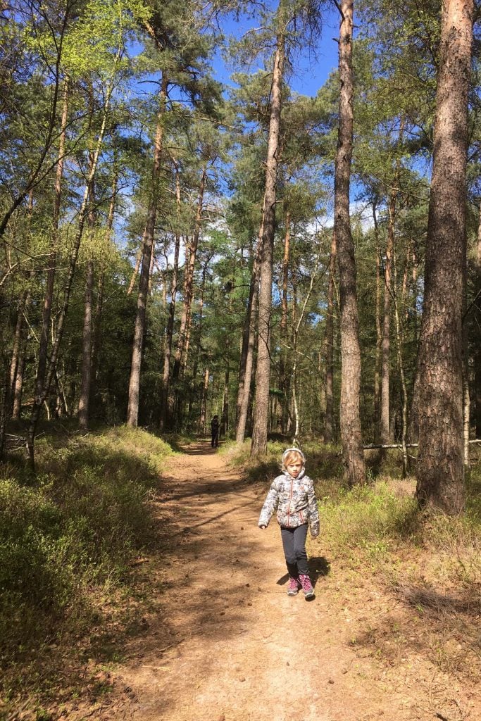 Astrix en het recept van de toverdrank geocache