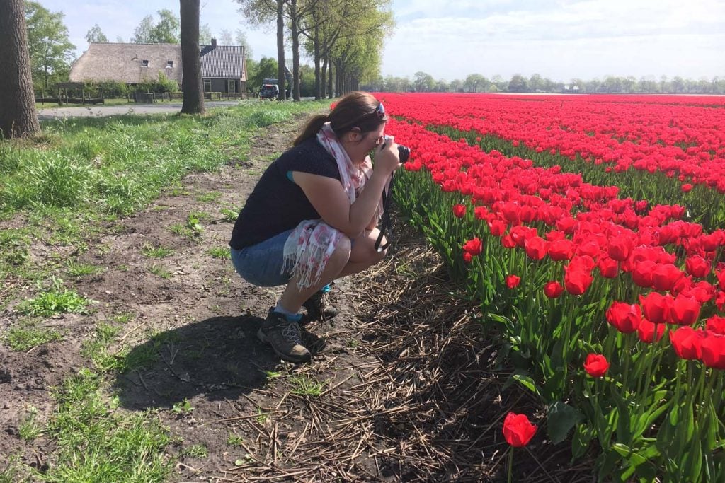 Drenthe bloemenveld