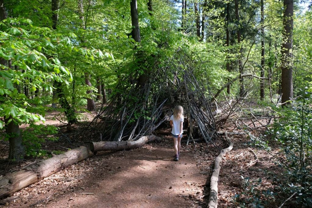 Avonturenbos goesbeek