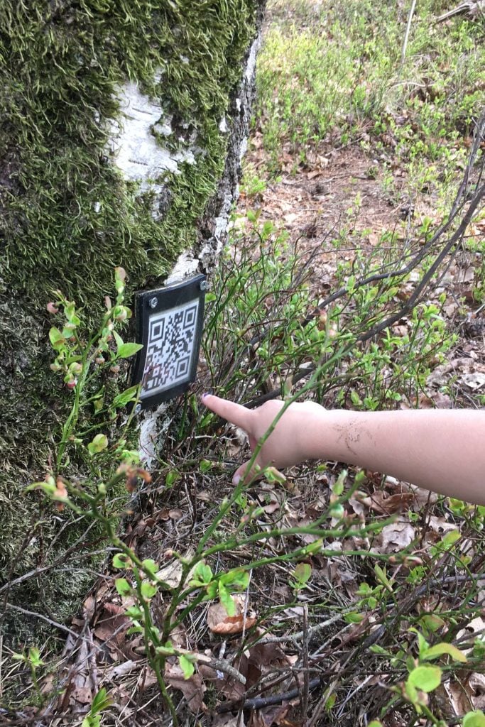 Geocaches  "de duistere bende