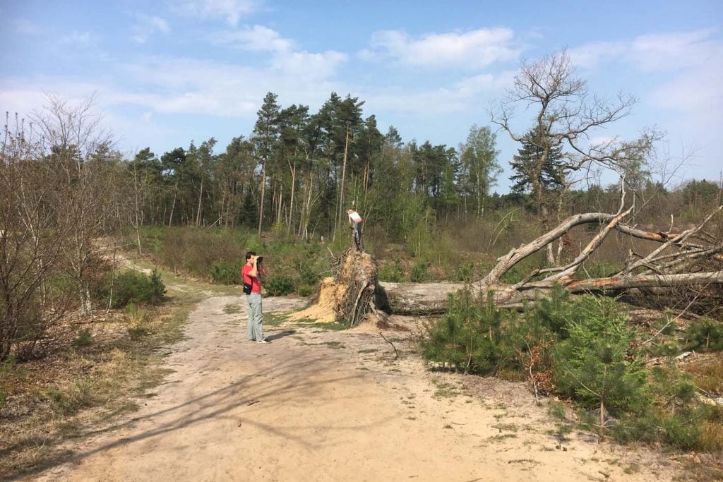 Boswachterij ugchelen hoenderloo