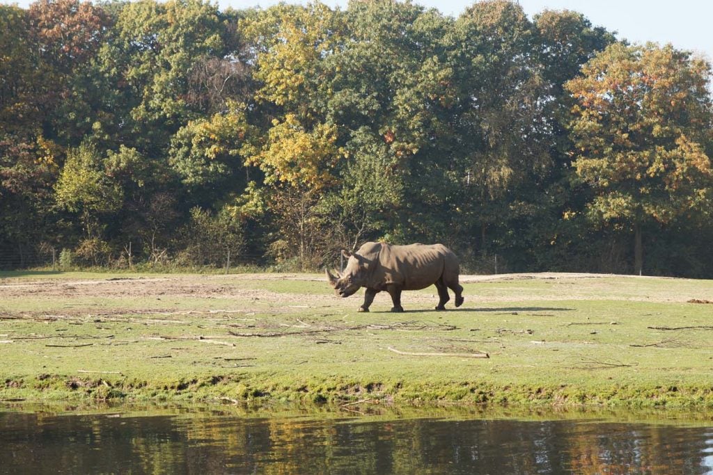 Burgers zoo