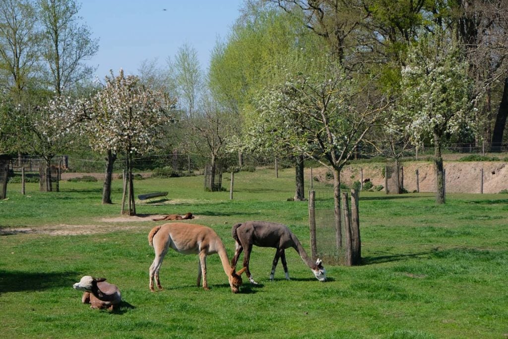 de rietberg