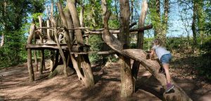Avonturenbos stekkenburg