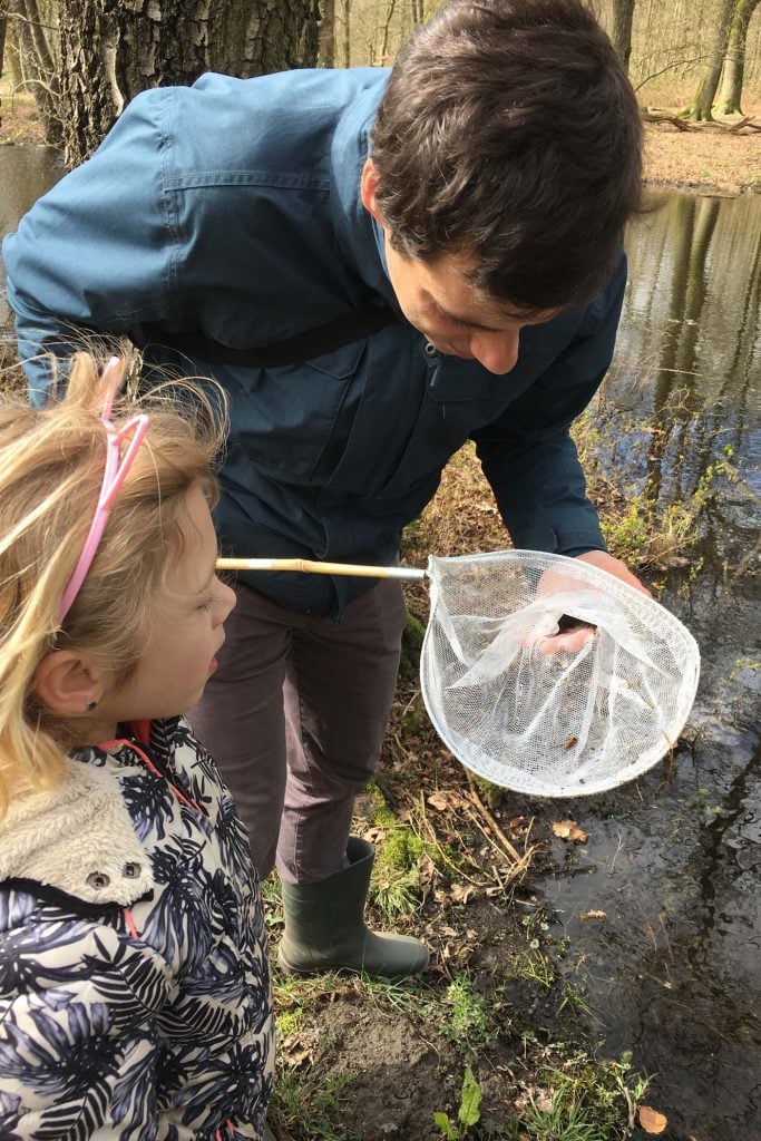 insecten vangen met schepnet