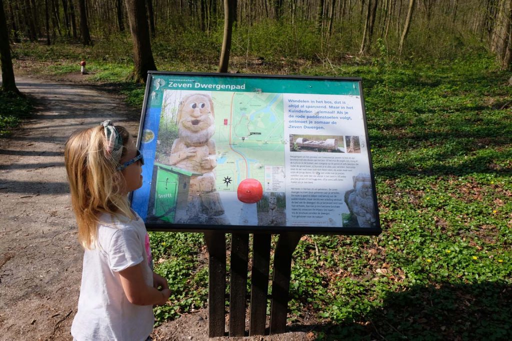 Kuinderbos dwergenpad