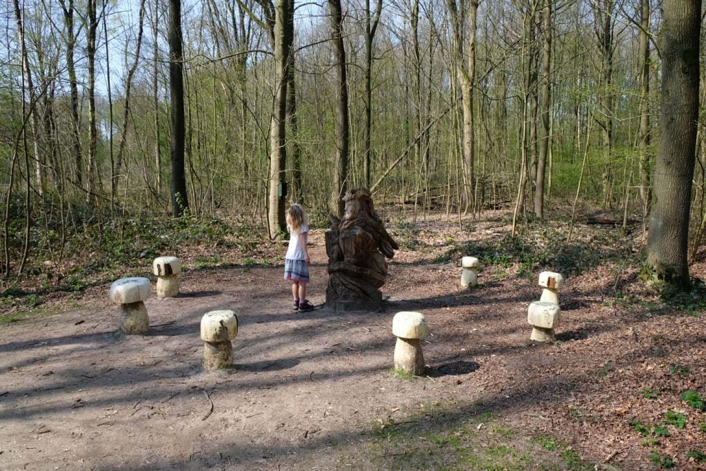 Kuinderbos dwergenpad