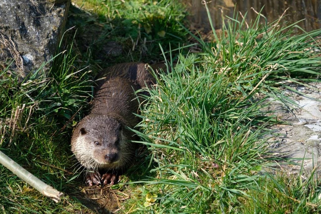 Natuurpark Lelystad