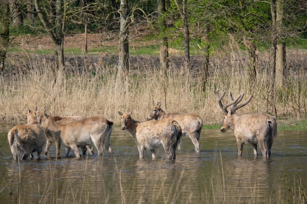 Natuurpark Lelystad