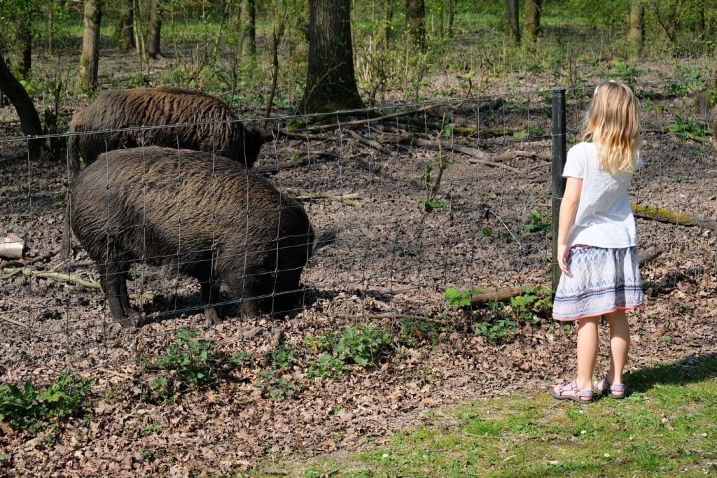 natuurpark Lelystad